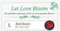 meaning-of-the-flowers