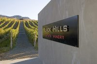 Black Hills Estate Winery-Looking down vineyard