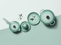 LC_SAGE_PRINCIPAL_H_0406_Final