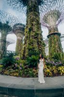 Singapore2