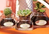 Planting-new-terrariums