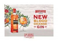 blood orange gin