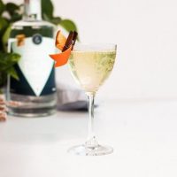 Vodka-Virtual-Cocktail-Class-2