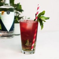 Vodka-Virtual-Cocktail-Class-3