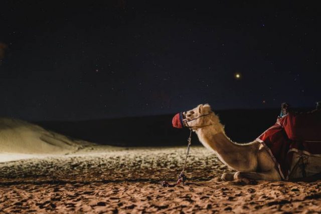 Camel Galaxy Dubai Darkness Milkyway